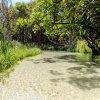 Australien Album